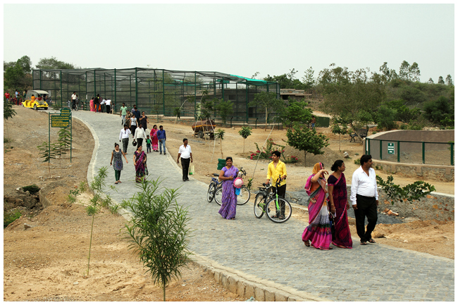 Sajjangarh Biological Park Udaipur