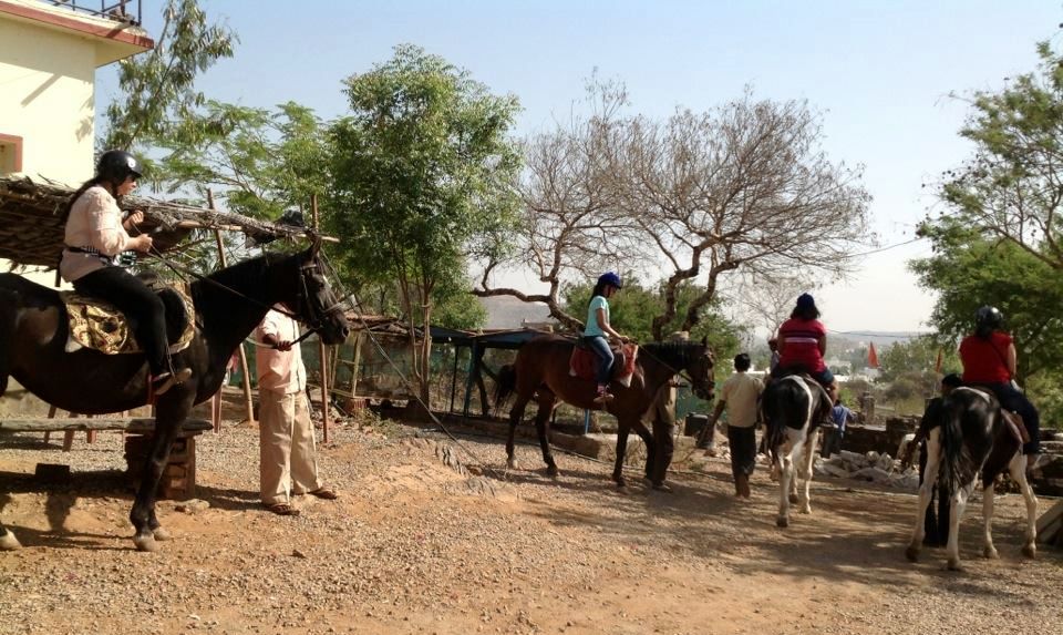 Horse Riding