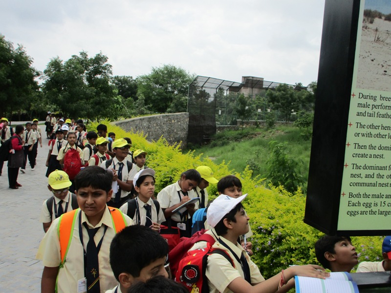 Sajjangarh Biological Park Udaipur