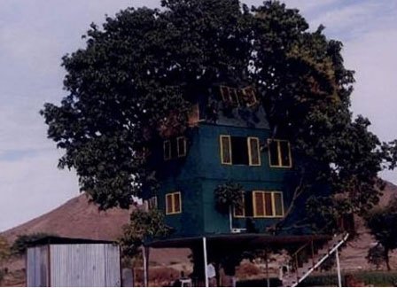 Udaipur Tree House