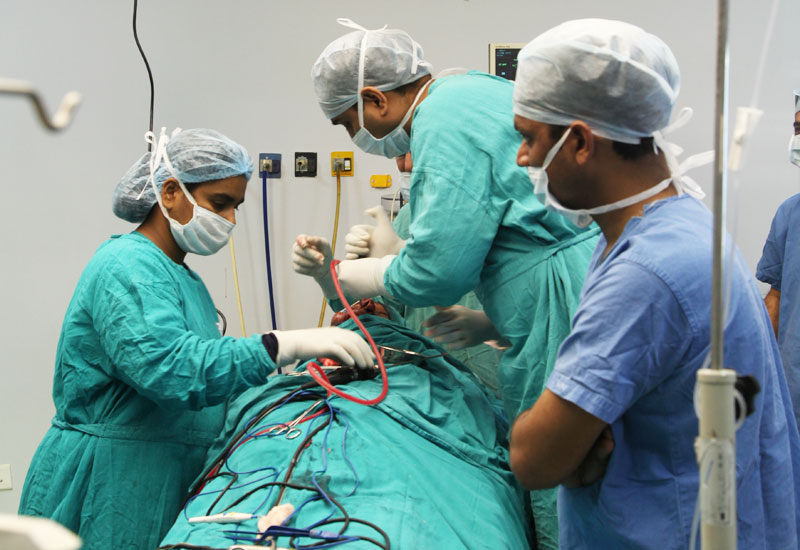 Best Doctors in Udaipur