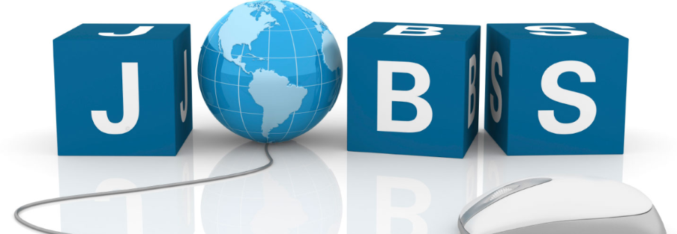 Best Placement Agencies in Udaipur