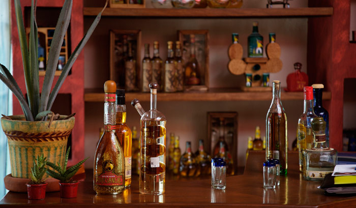 Best Pubs and Bars in Udaipur