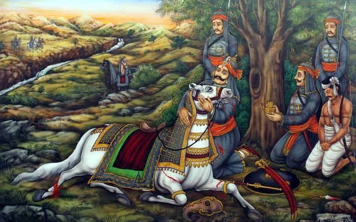 Chetak Horse